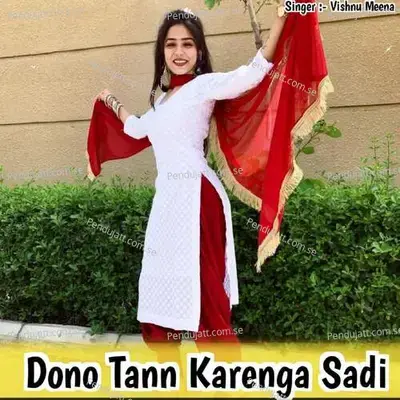 Dono Tann Karenga Sadi - Vishnu Meena album cover 