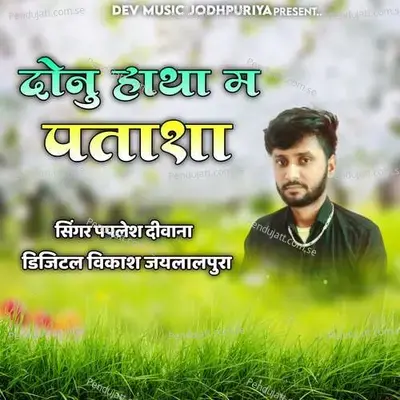 Chora Thari Mohbbat Ki Deewani - Paplesh deewana album cover 