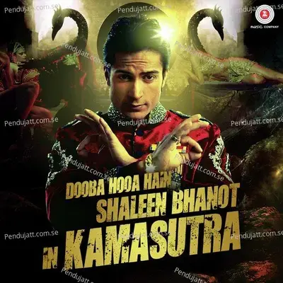 Dooba Hooa Hain.. Kamasutra - Shaleen Bhanot album cover 