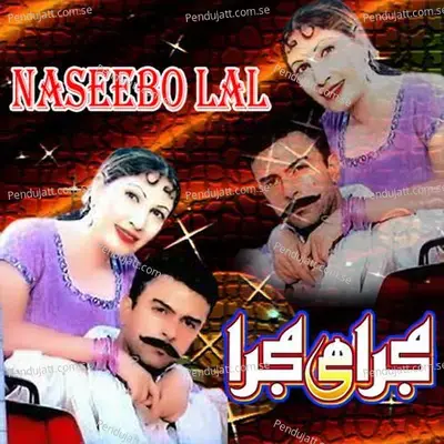 Doodh Ban Jawangi - Naseebo Lal album cover 