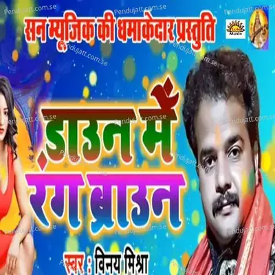 Down Mein Rang Brown - Vinay Mishra album cover 