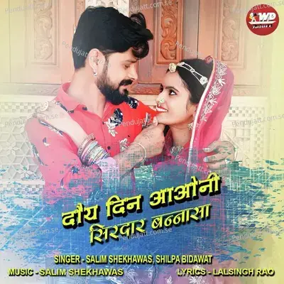 Doye Din Aaoni Sirdar Bannsa - Salim Shekhawas album cover 