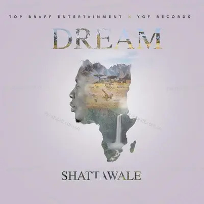 Dream - Shatta Wale album cover 