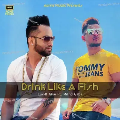 Drink Like A Fish - Luv-It Ghai album cover 