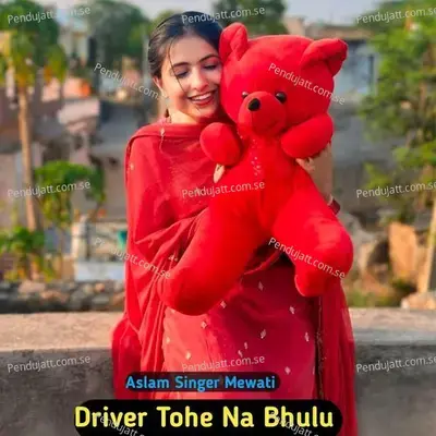 Driver Tohe Na Bhulu - Aslam Singer Mewati album cover 