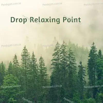 Drop Relaxing Point - Lakhan Hire album cover 