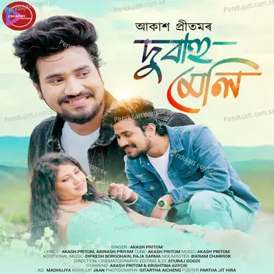 Dubahu Meli - Akash Pritom album cover 
