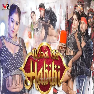 Dubai Se Habibi - Shravan Pal album cover 