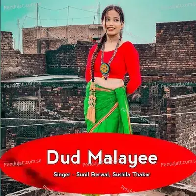 Dud Malayee - Sunil Berwal album cover 