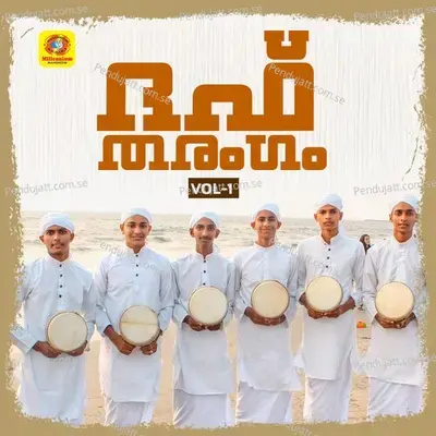 Hayavan Thande - Naseeb album cover 