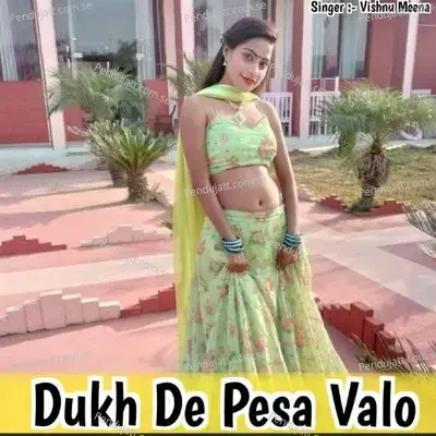 Dukh De Pesa Valo - Vishnu Meena album cover 