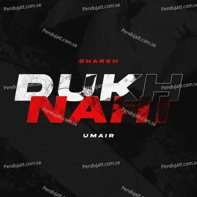 Dukh Nahi - Shareh album cover 