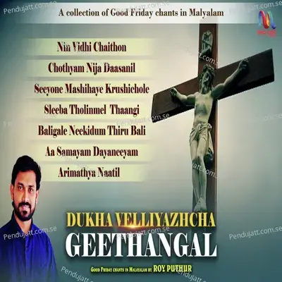 Sleeba Tholinmel Thaangi - Roy Puthur album cover 