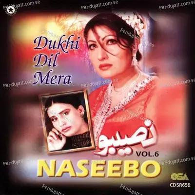 Kise Naal Pyar Pa Ke - Naseebo Lal album cover 