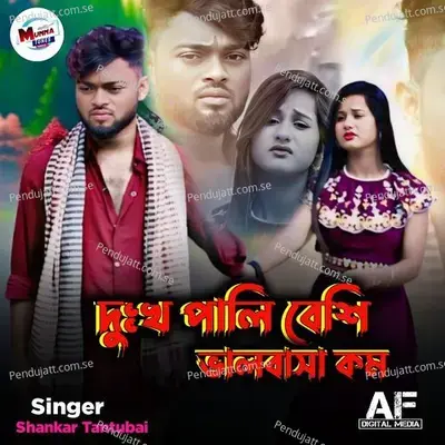 Dukkho Pali Besi Valobasa Kom - Shankar Tantubai album cover 