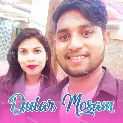 Dular Mosam - Shyam Marandi album cover 