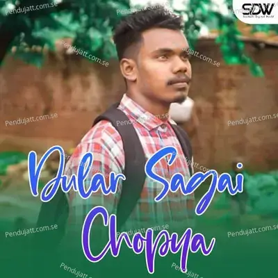 Dular Sagai Chopya - Suresh Marandi album cover 