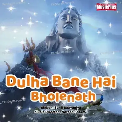 Dulha Bane Hai Bholenath - Anjali Jain album cover 
