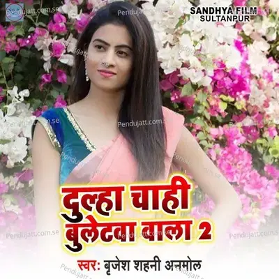 Dulha Chahi Bullet Wa Wala 2 - Brijesh Sahani Anmol album cover 