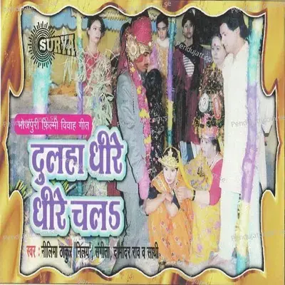 Jab Tak Pure Na Ho Phere Saat - Nelma Thakur album cover 