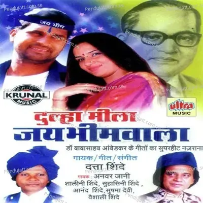 Amar Rahega Savidhan - Anwar Jani album cover 