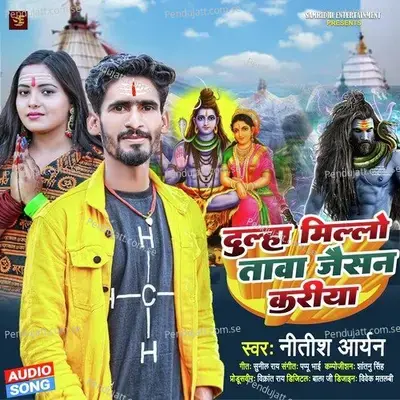 Dulha Millao Tawa Jaisan Kariya - Nitish Aryan album cover 