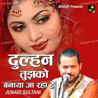 Dulhan Tuzhko Banaya Ja Raha Hai - Junaid Sultani album cover 