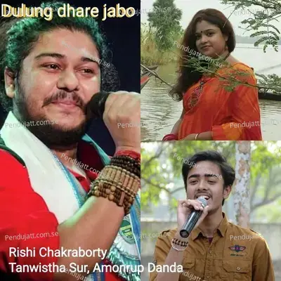 Dulung Dhare Jabo - Rishi Chakraborty album cover 