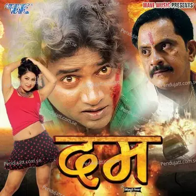 Chapale Raha Ae Raja - Ritesh Pandey album cover 