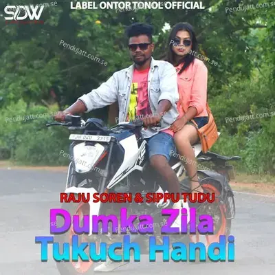 Dumka Zila Tukuch Handi - Raju Soren album cover 