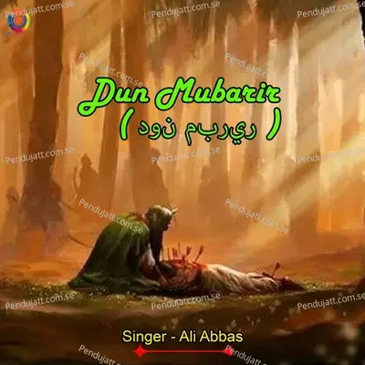 Dun Mubarir - Ali Abbas album cover 