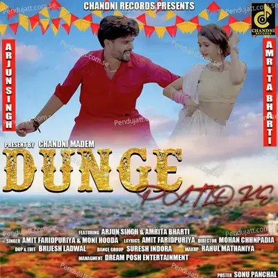 Dunge Patlo Ke - Amit Faridpuriya album cover 