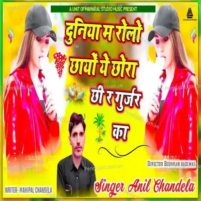 Dunia Me Rola Chayo Ye Chora Chi Re Gurjar Ka - Anil Chandela album cover 