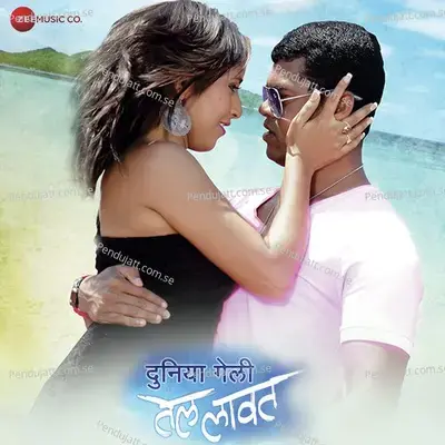 Duniya Geli Tel Lavat - Shreerang Mangesh Aras cover album