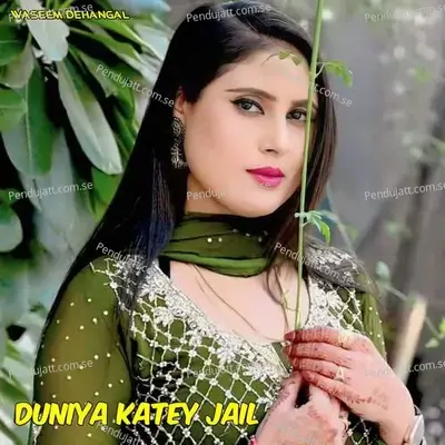 Duniya Katey Jail - Waseem Dehangal album cover 