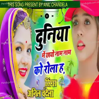 Duniya Me Chayo Naam Naam Ko Rolo Hai - Anil Chandela