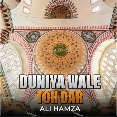 Duniya Wale Toh Dar - Ali Hamza album cover 