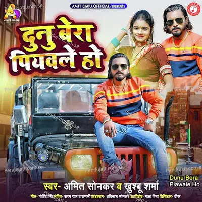 Dunu Bera Piawale Ho - Amit Sonkar album cover 