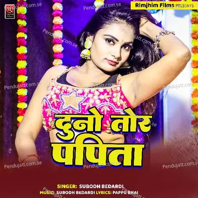 Dunu Papita Gwlau Jhul Ge - Subodh Bedardi album cover 
