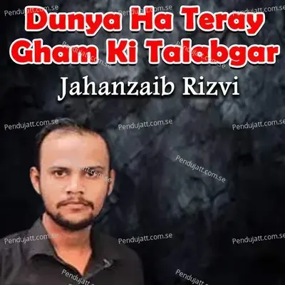 Ya Mehdi - Jahanzaib Rizvi album cover 