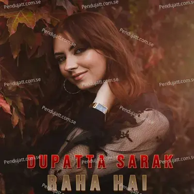 Dupatta Sarak Raha Hai - Raj Meena album cover 