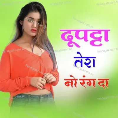 Duptta Tera No Rang Da - Raj Meena album cover 