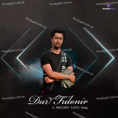 Dur Fulonir - D. Btz album cover 