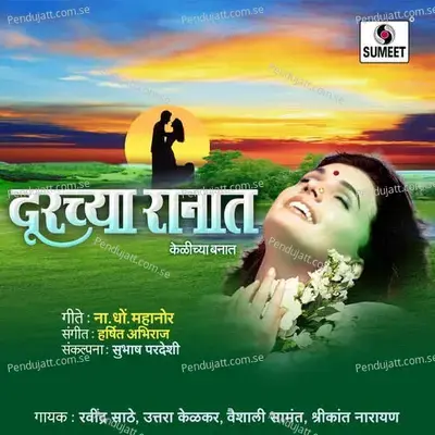 Nahatya Dhutya Pori - Shrikant Narayan album cover 