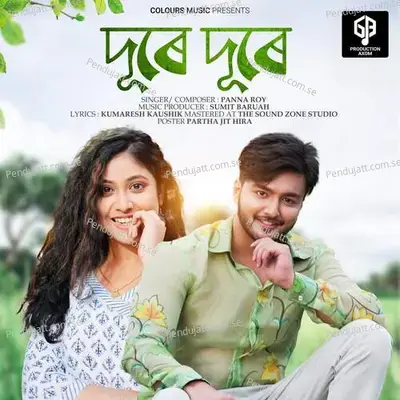 Dure Dure - Panna Roy album cover 