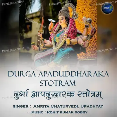 Durga Apaduddharaka Stotram - Amrita Chaturvedi album cover 