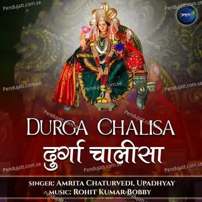 Durga Chalisa - Amrita Chaturvedi album cover 