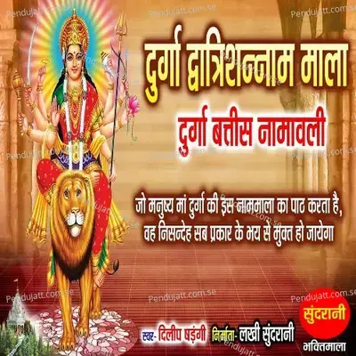 Durga Dwadash Naam Mala - Dilip Shadangi album cover 