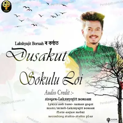 Dusokut Sokulo Loi - Lakshyajit Boruah album cover 