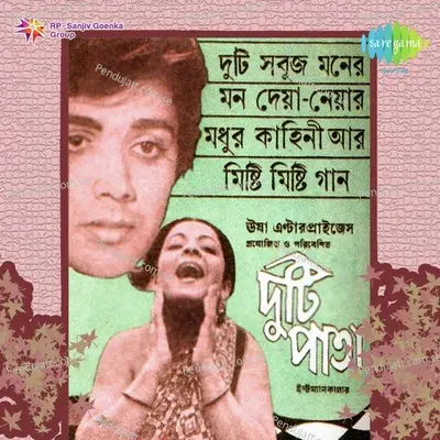 Pahar Pahar Pahar - Amit Kumar album cover 